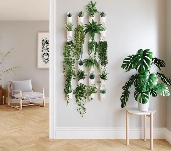 7 Great Ways to Indoor Plant Decoration - Style Guide 2021 14 Screen Shot 2020 12 27 at 21.59.59