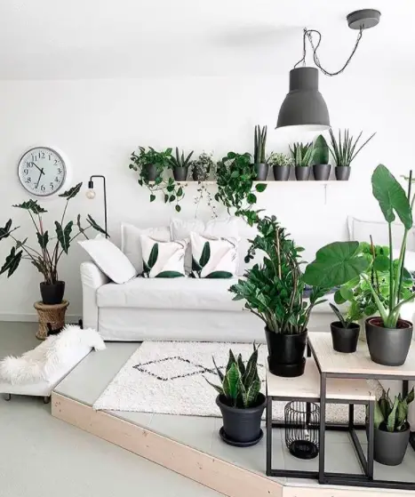 7 Great Ways to Indoor Plant Decoration - Style Guide 2021 15 Screen Shot 2020 12 27 at 22.21.24