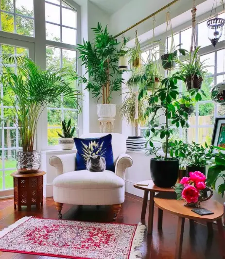 7 Great Ways to Indoor Plant Decoration - Style Guide 2021 17 Screen Shot 2020 12 27 at 22.30.39