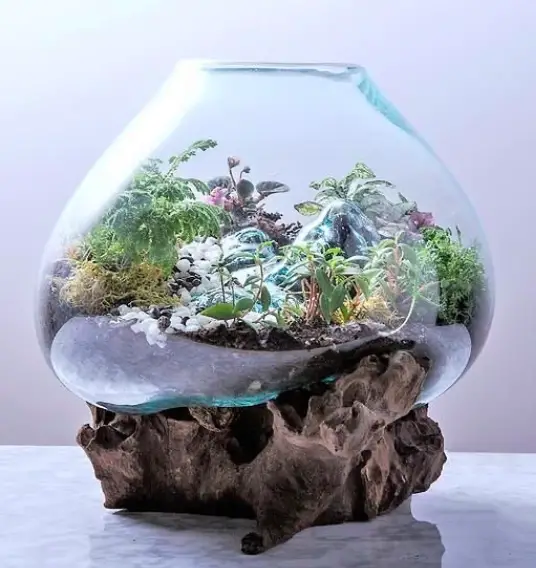 What Are The Best Terrarium Containers You Should Buy? 4 Screen Shot 2021 02 25 at 13.41.41