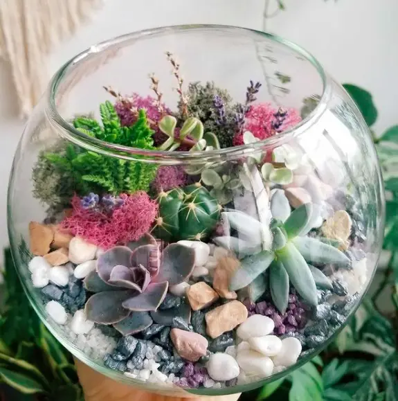 What Are The Best Terrarium Containers You Should Buy? 3 Screen Shot 2021 02 25 at 15.55.10