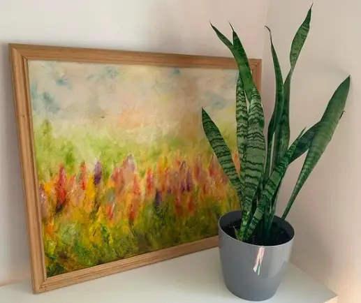 The Mystery of Sansevieria (Sansevieria Trifasciata) Growing Tips and How to Care for It 4 Screen Shot 2021 03 22 at 00.48.34